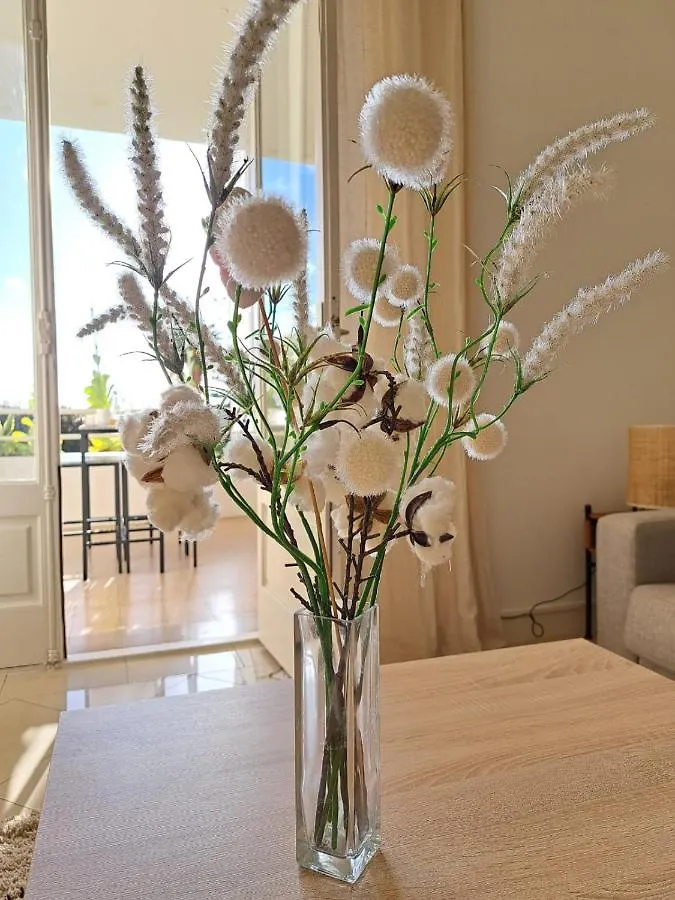Daire Beautiful Renovated Studio With Ac And Terrace - Benakey Cannes